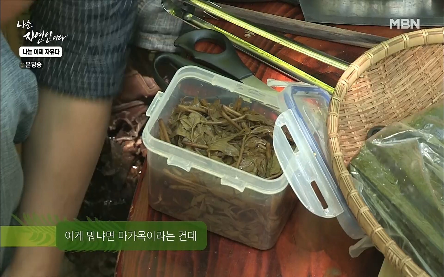나는 자연인이다.E503.220525p.H264-F1RST.mp4_20220526_201142.794.jpg