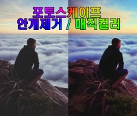  하늘과 숲속에서의 안개제거와 매직 컬러 - 포토스케이프