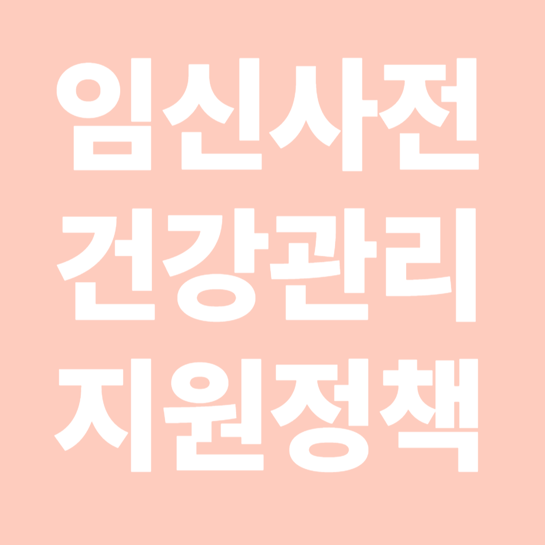 임신사전건강관리지원 정책
