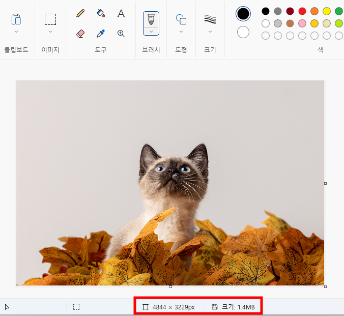 이미지 사이즈 확인하기