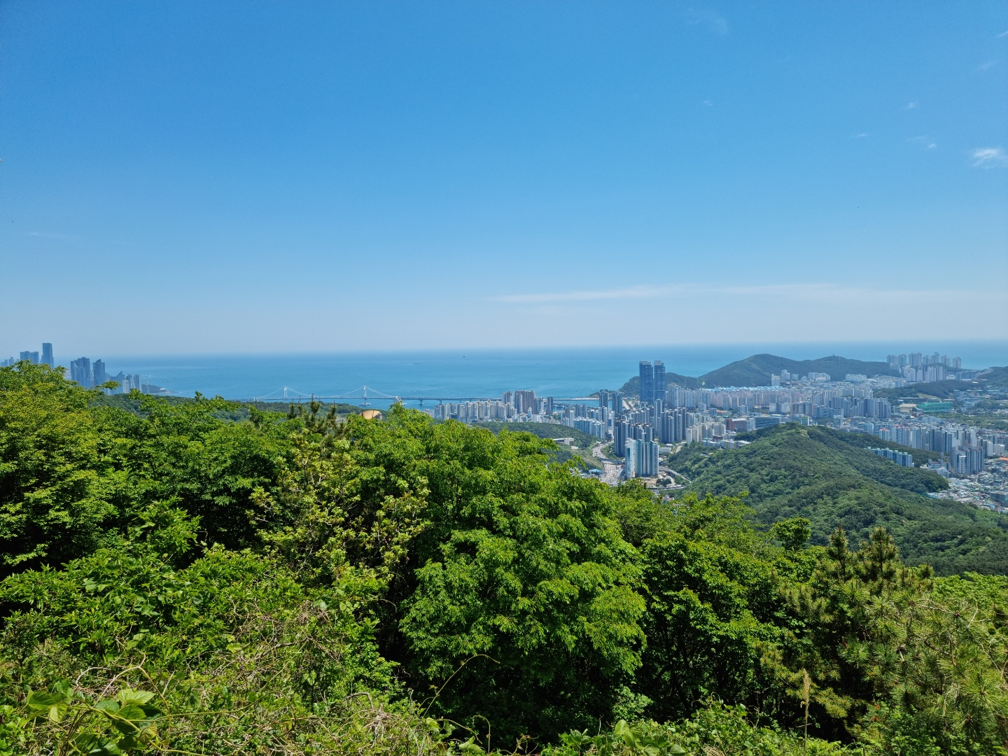 광안대교가 보이는 사진