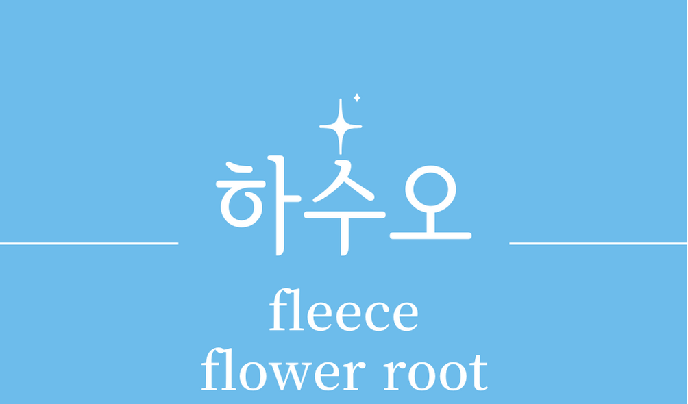 &#39;하수오(fleece flower root)&#39;