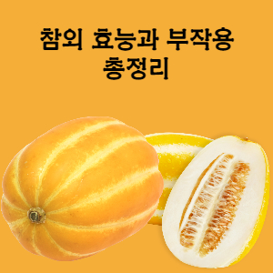  참외의 효능 및 부작용 총 정리