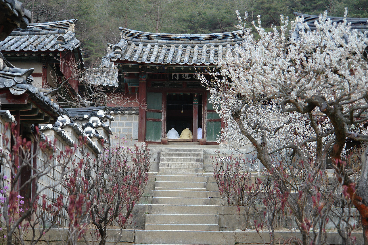 도산 이미지