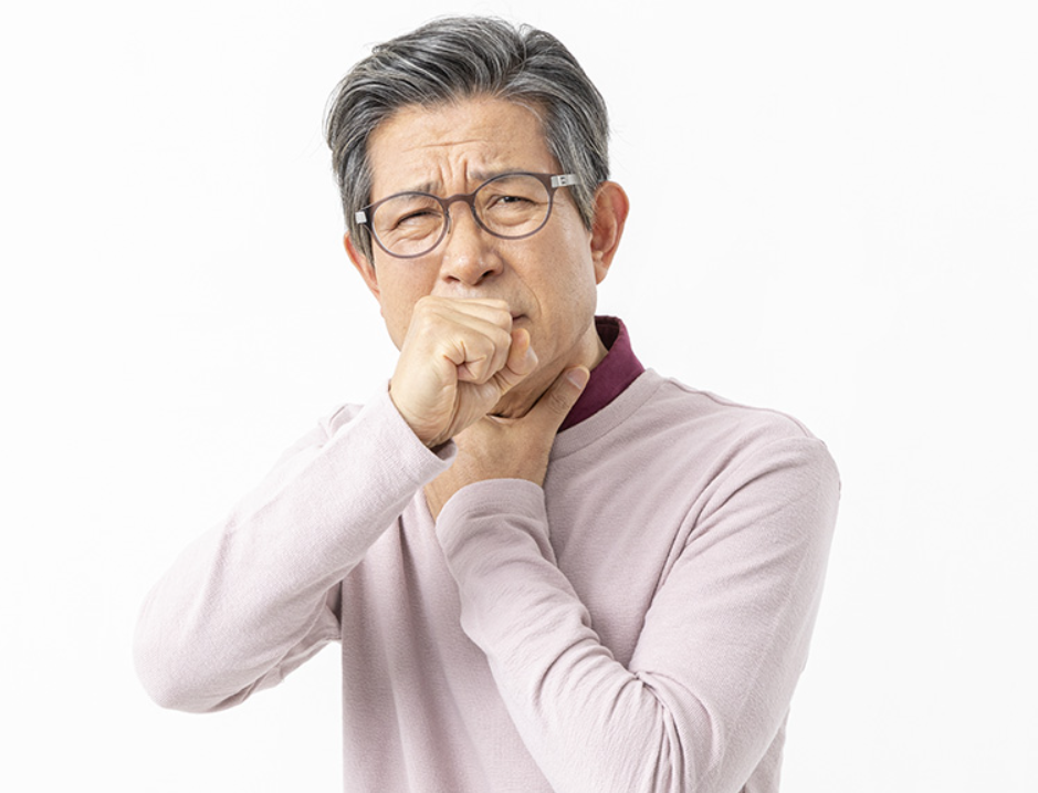 포독스정