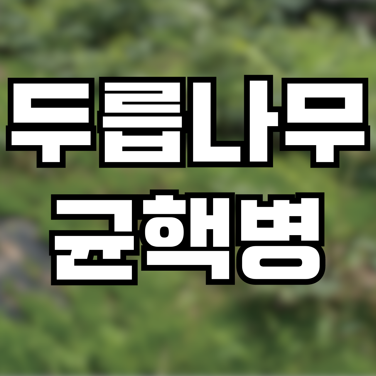 두릅나무 균핵병