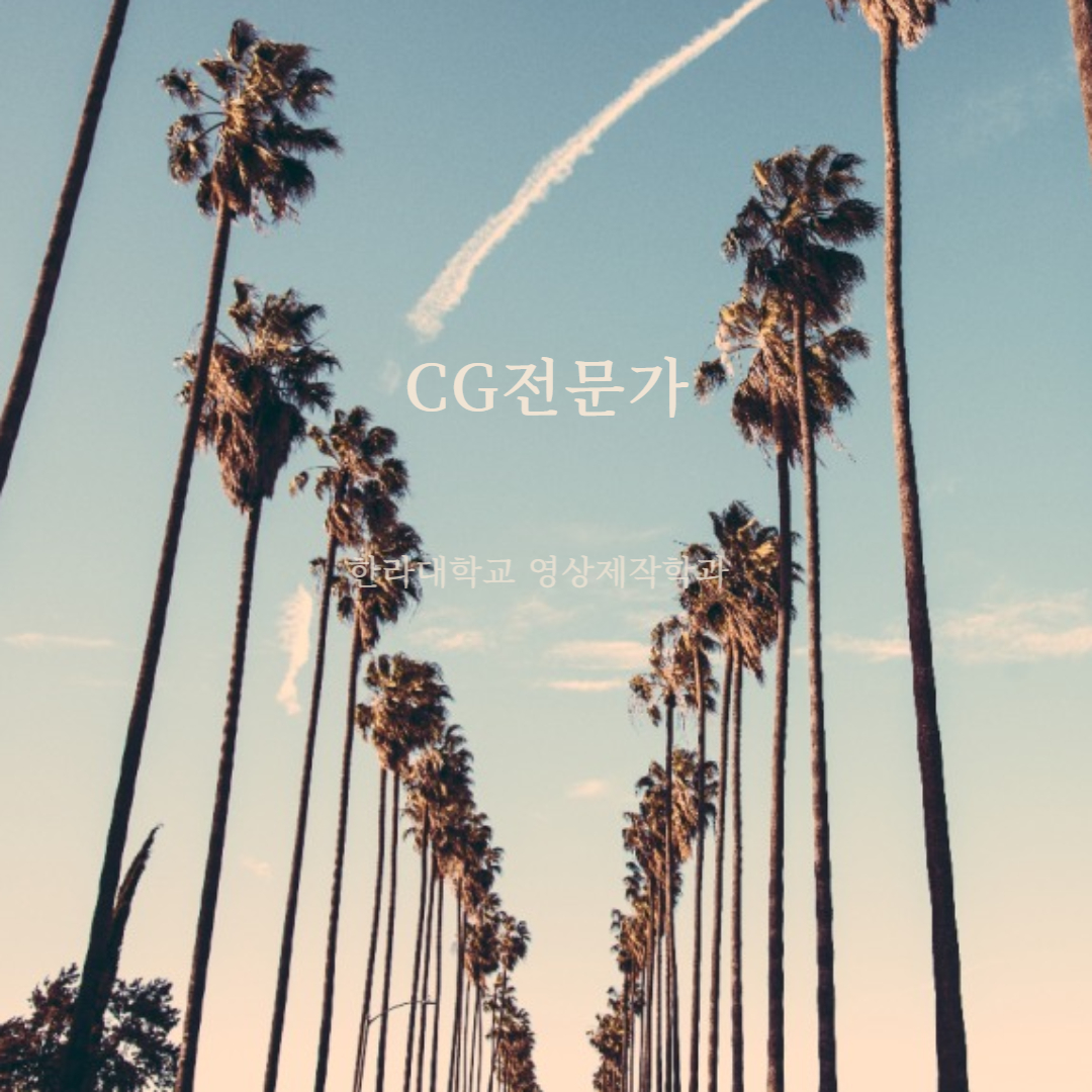 CG전문가