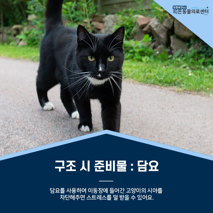 간택 , 구조는 어리다면 조심해야 해요! 6