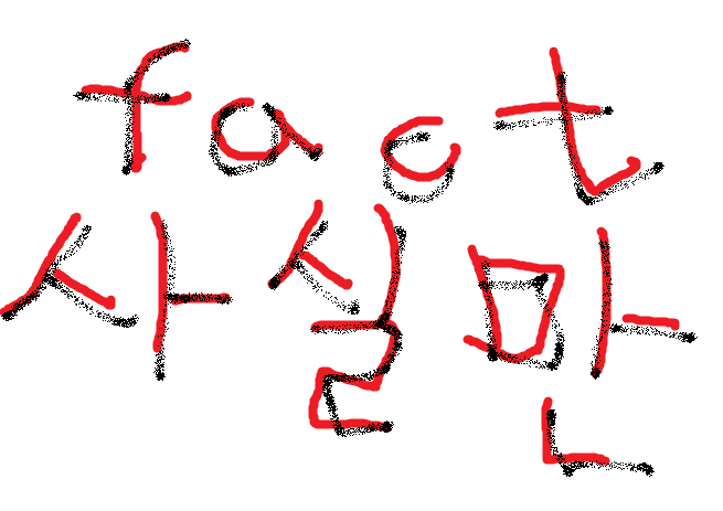  영어실력 보고서