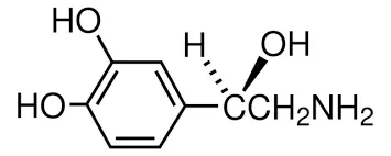노르에피네프린(norepinephrine)