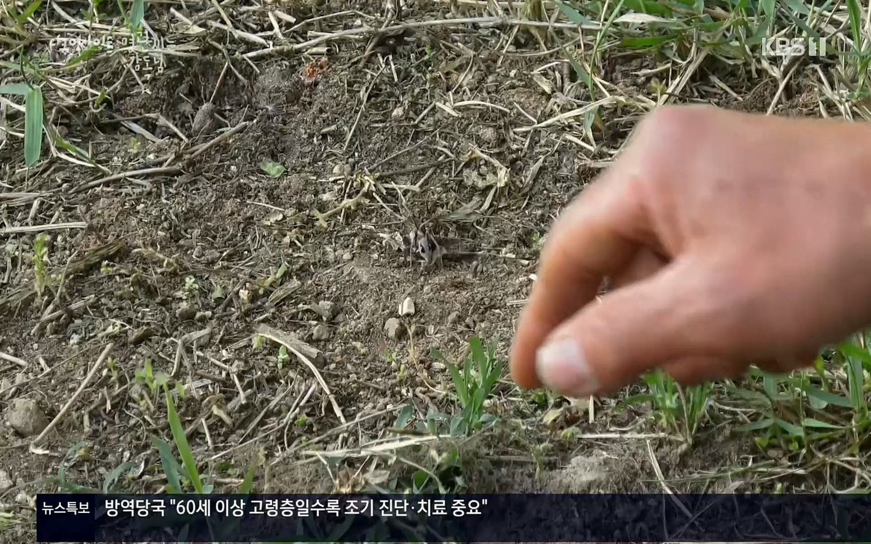 다큐 인사이트.E122.220825p.H264-F1RST.mp4_20220826_152309.150.jpg