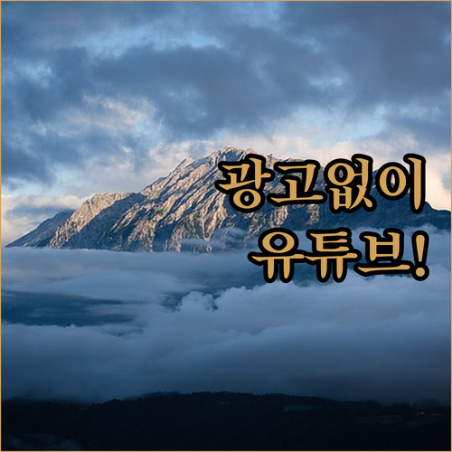 광고 없는 유튜브 세상! 겜스고로 떠