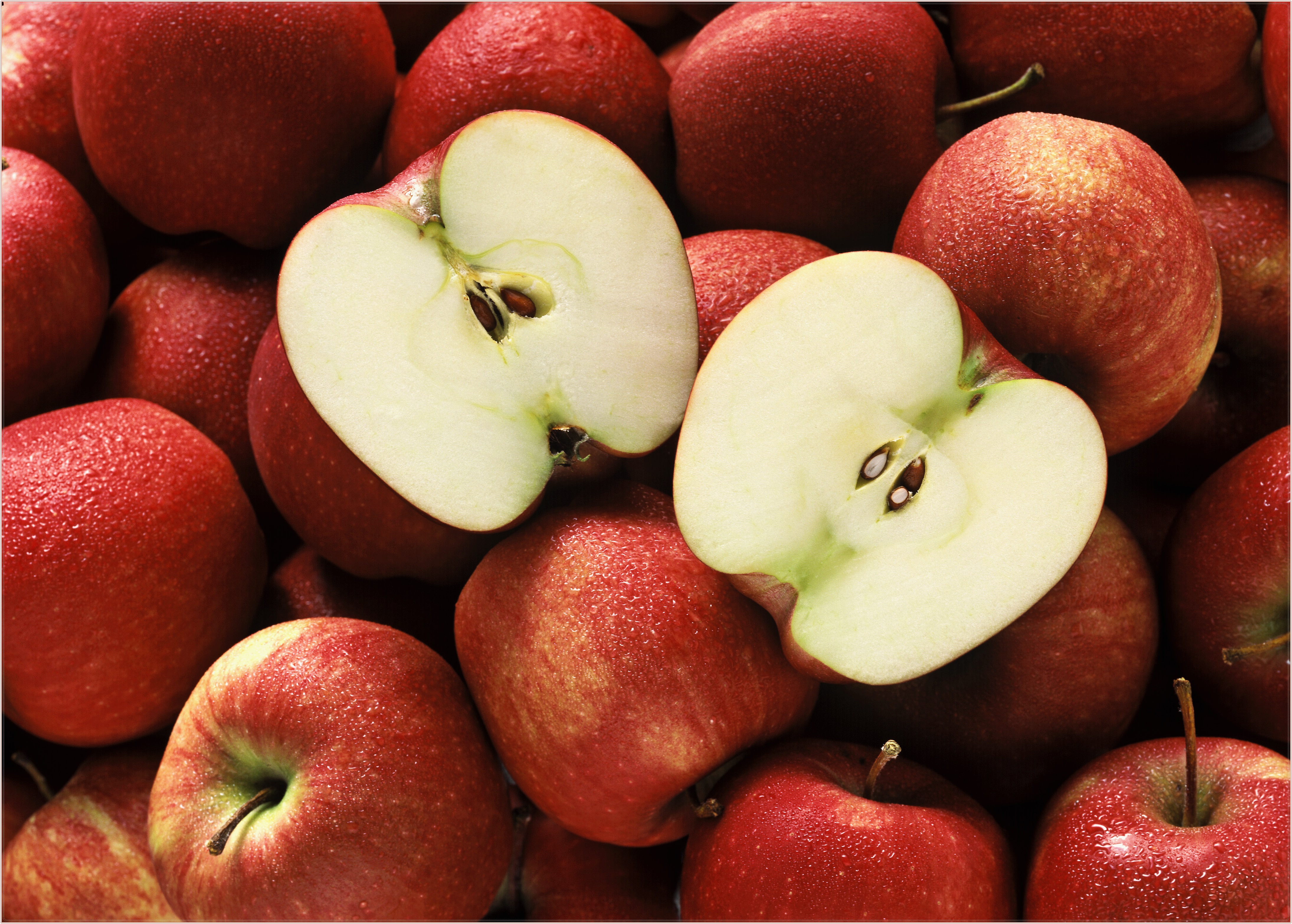아침에 먹는 사과는 건강에 좋은 효능