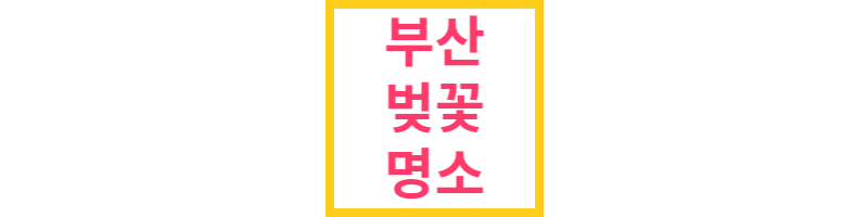 부산벚꽃명소