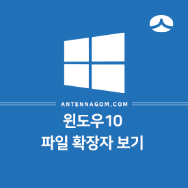 윈도우10 파일 확장자 보기