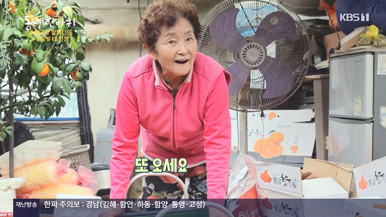 동네 한 바퀴.E252.231217p-NEXT.mp4_20231218_205725.345.jpg