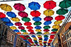급증하는 우산 거리&#44; 포르투갈