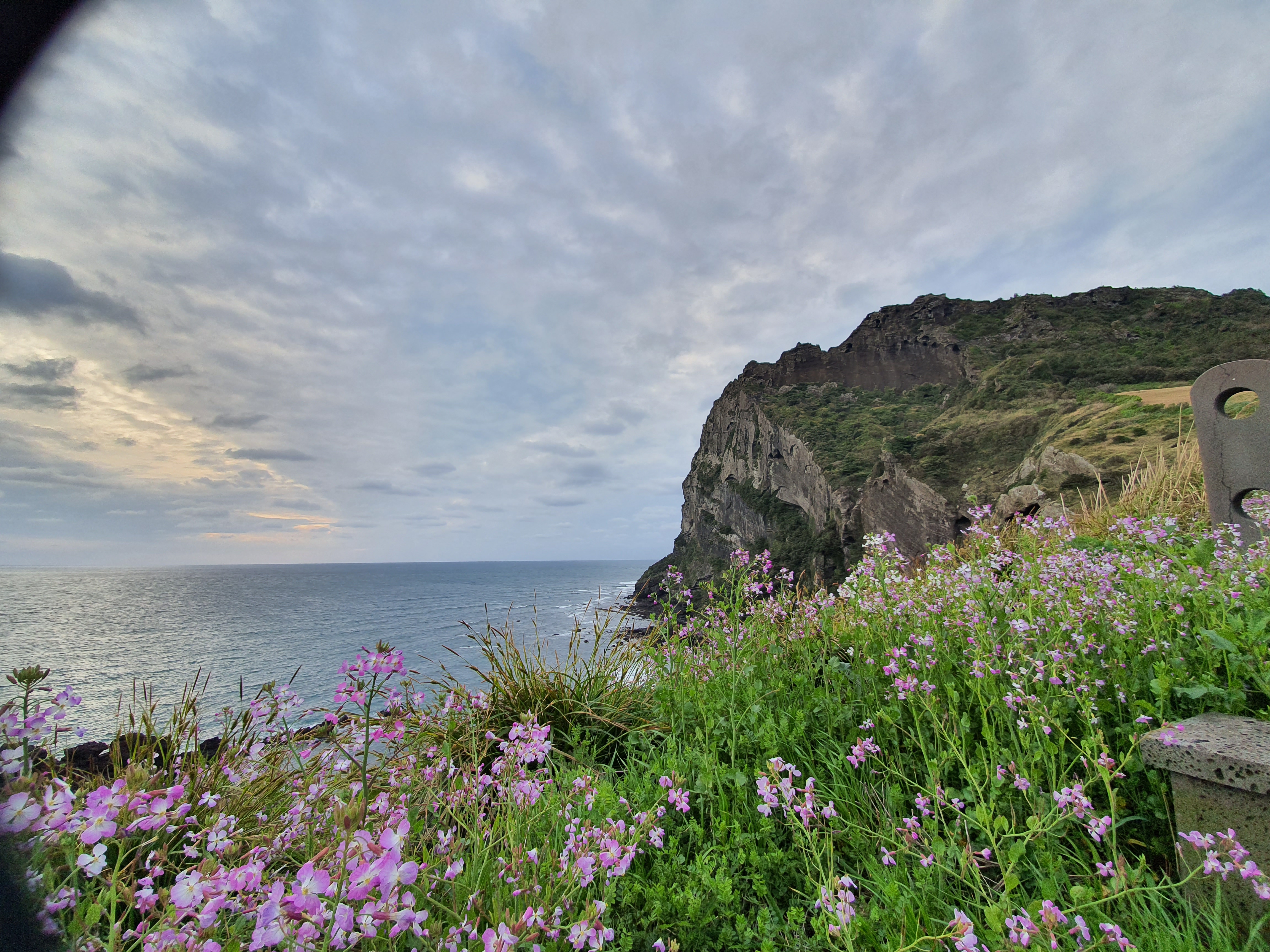  제주도 ] 성산일출봉과 섭지코지