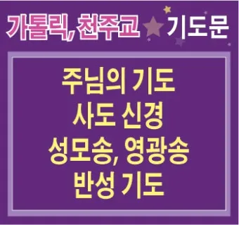 천주교 성모송 영광송 사도신경 전문_9