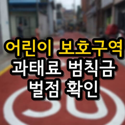  어린이 보호구역(스쿨존) 위반 6가지 범칙금 과태료 얼마?