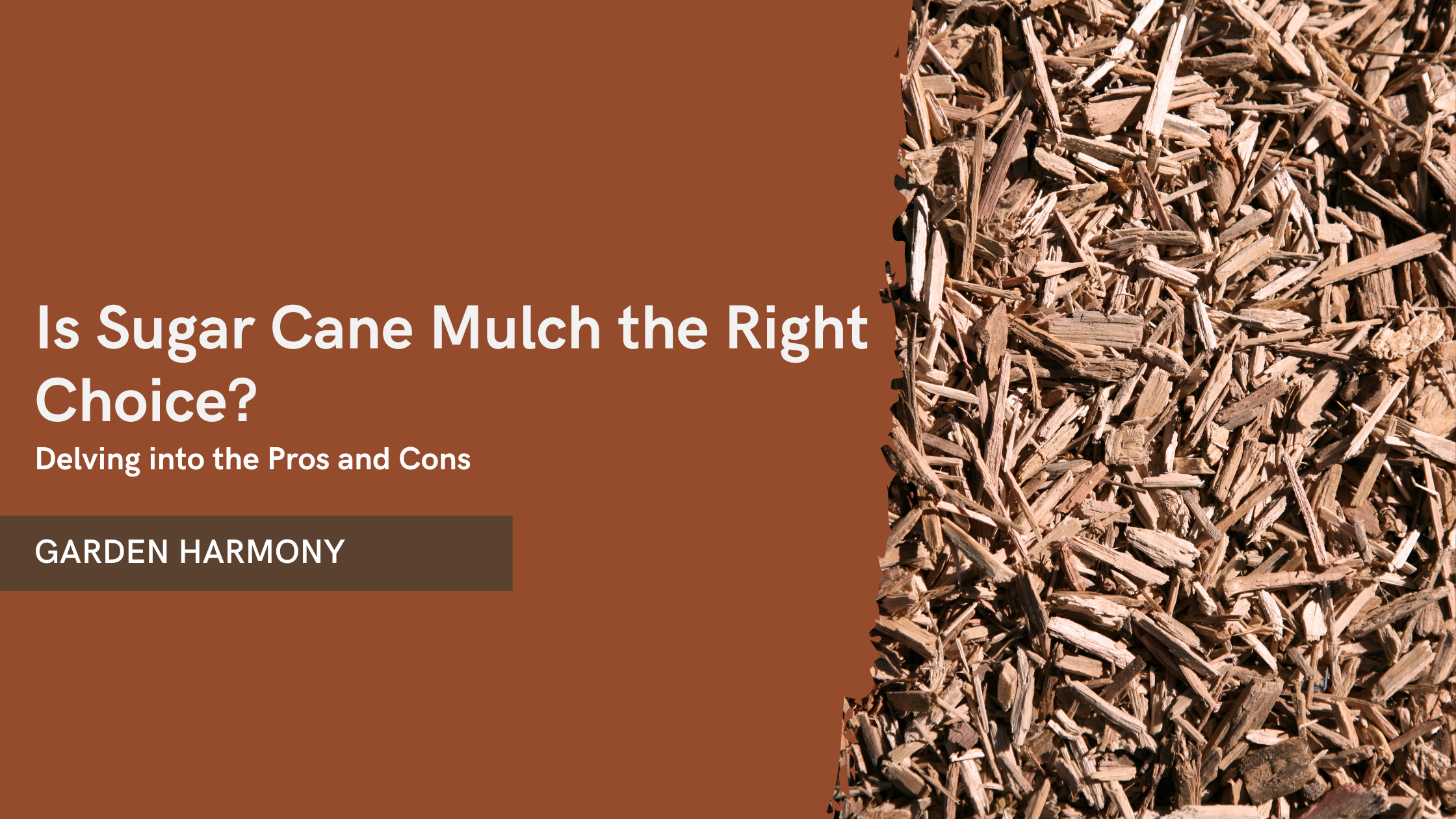 Sugar Cane Mulch Pros and Cons