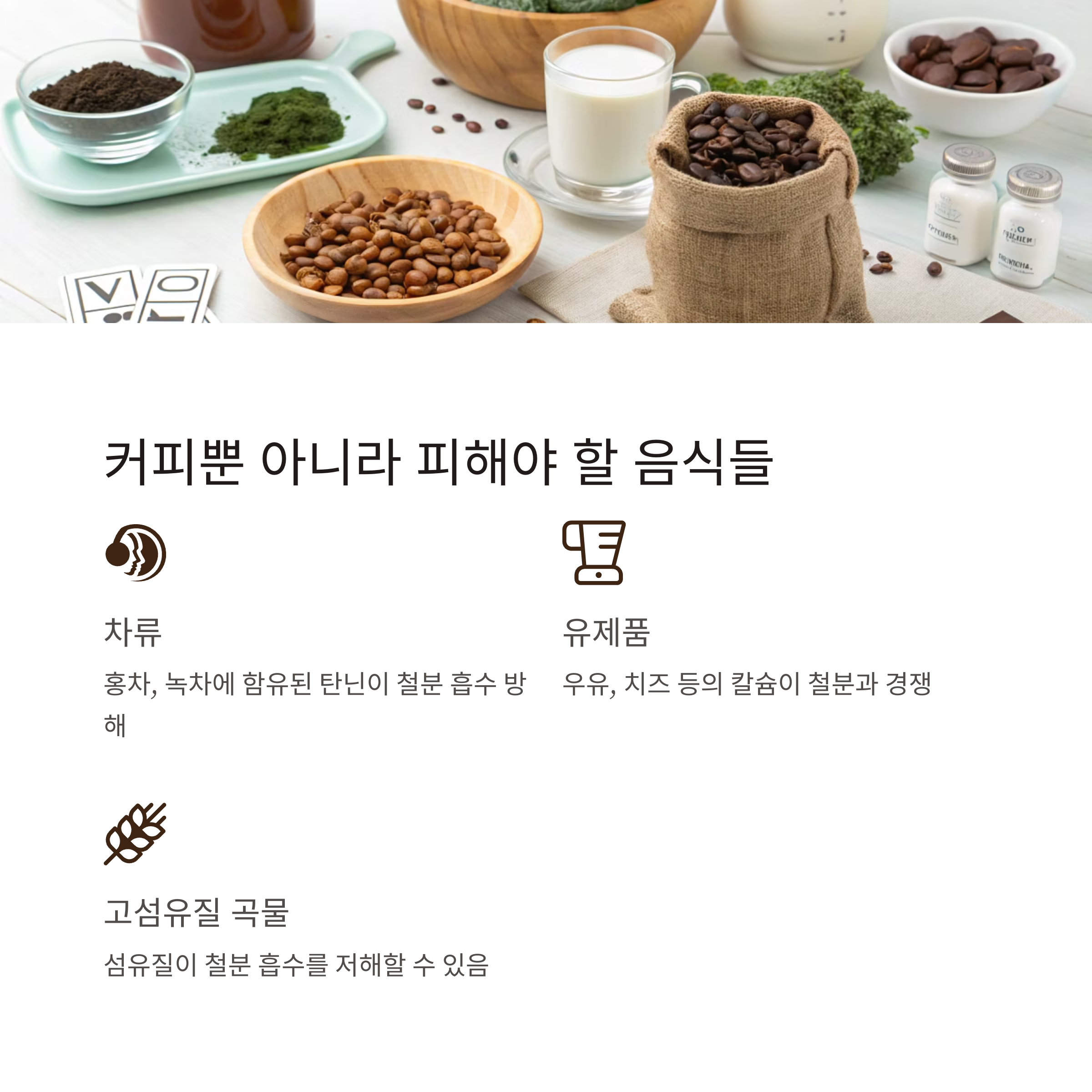 철분 보충제