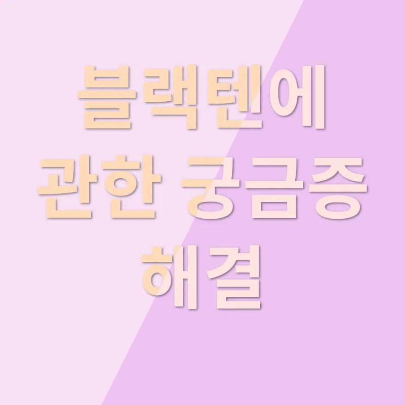 카페 분위기_4