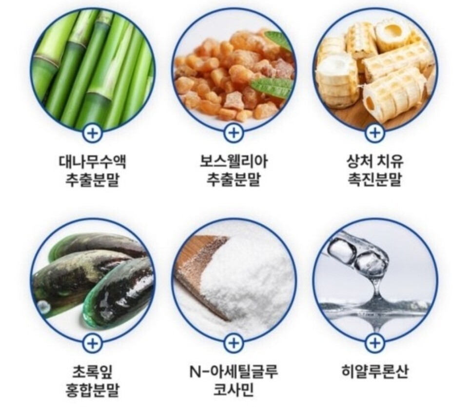 관절 영양제 추천 순위 (내돈내산 솔직후기)