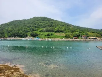 금오도 배편 예약 요금 시간표_12