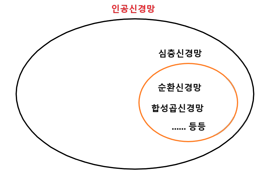  합성곱 신경망?, 인공 신경망? 심층 신경망? 뭐가 다른건가요?