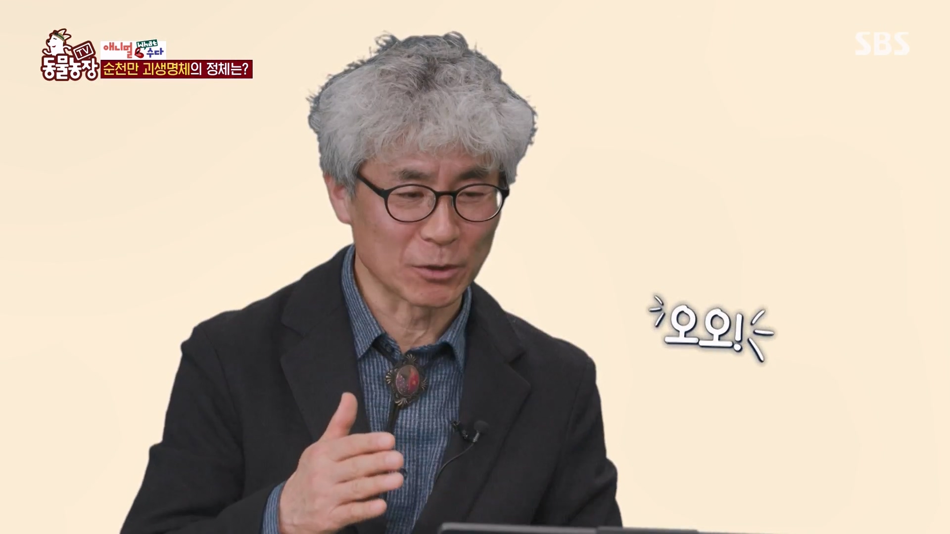 TV 동물농장.E1164.240324p-NEXT.mp4_20240324_170434.530.jpg