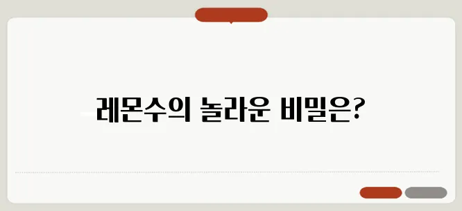 레몬수 효능과 효과적인 섭취 방법