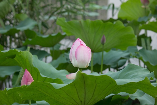 용산역 영등포역 수원역 함열역 익산역 삼례역 전주역 임실역 오수역 남원역 운행열차 시간표 요금2