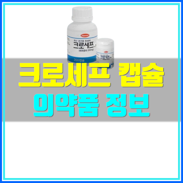  크로세프 캡슐 복용 방법 및 효능