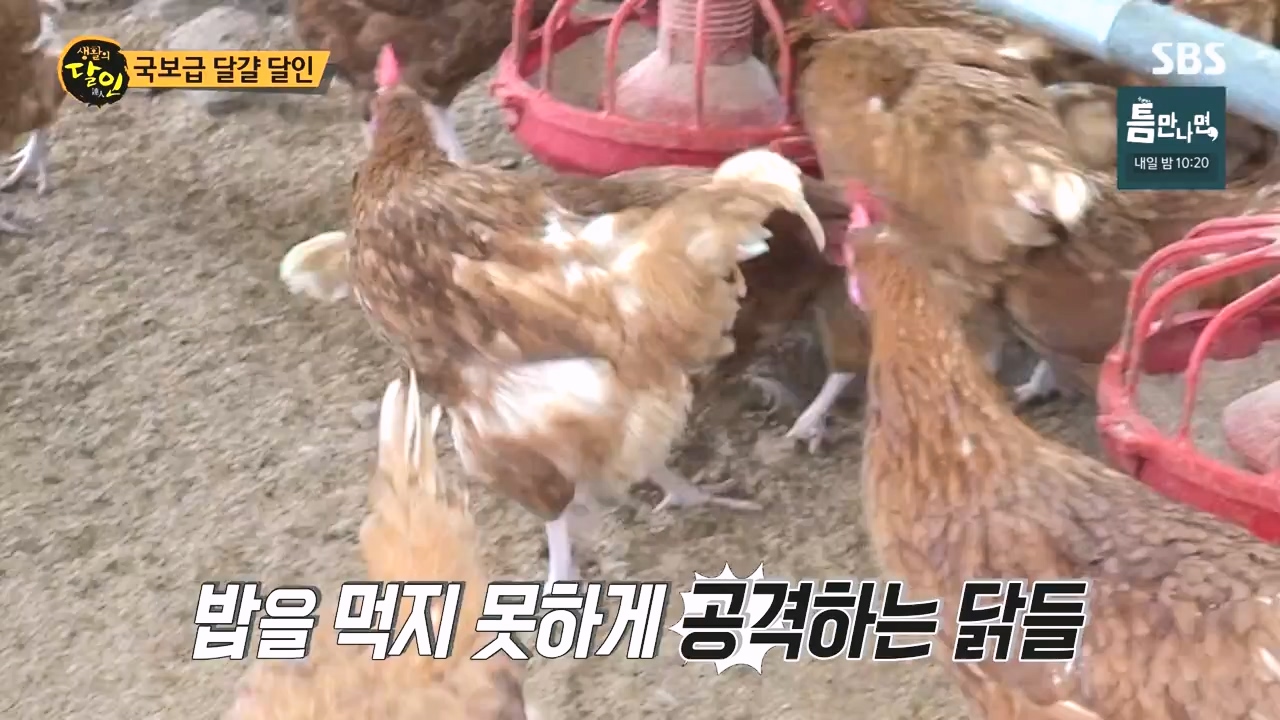 생활의 달인.E934.240507p-NEXT.mp4_20240507_195944.142.jpg