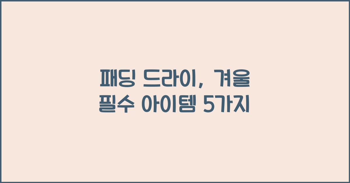 패딩 드라이