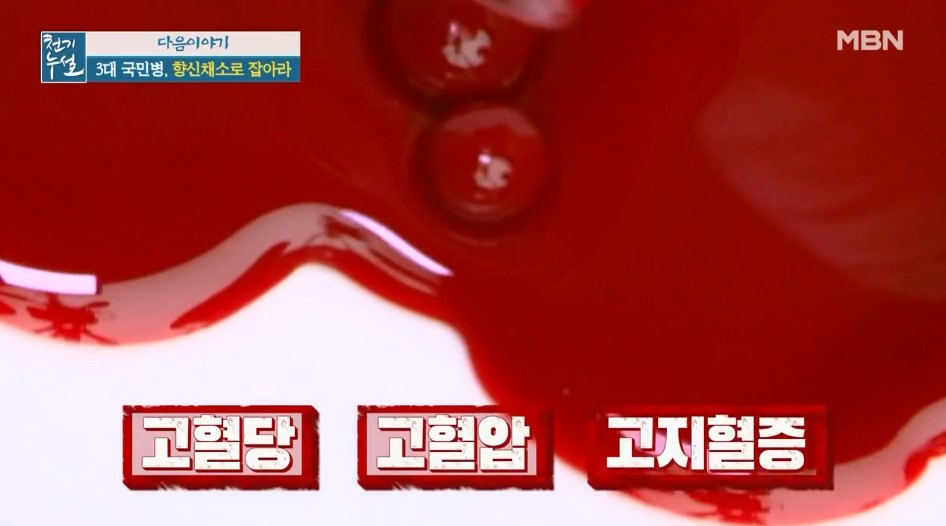  천기누설 고혈당고혈압고지혈증 3대 국민병 향신채소를 잡아라 탄수화물 중독에서 벗어나게 도와줄 방법 왕의밀 카무트 생명의씨앗 효능 카무트곡물차 만