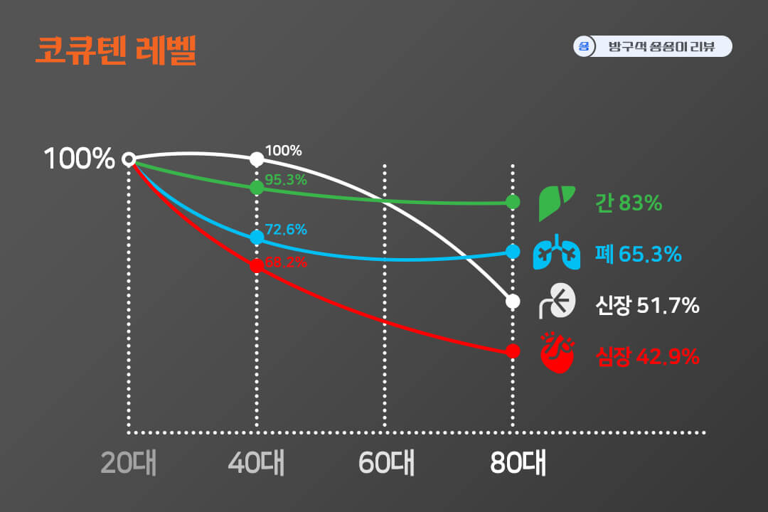 코큐텐-효능-레벨-그래프