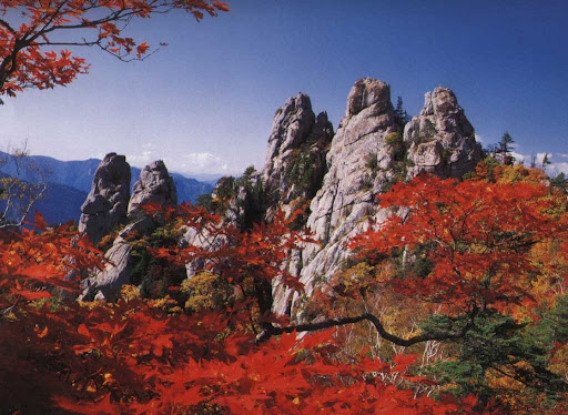 etc-image-44