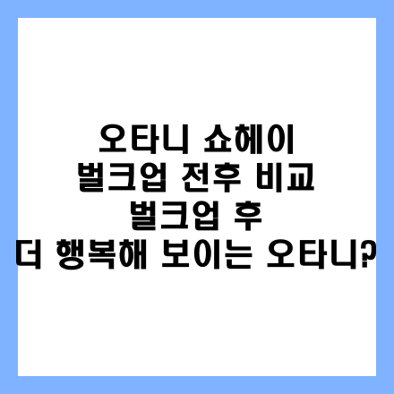 오타니 쇼헤이 벌크업 전후 비교 글 썸네일 인포그래픽