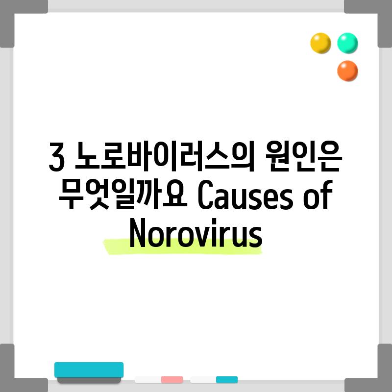 3. 노로바이러스의 원인은 무엇일까요? (Causes of Norovirus)