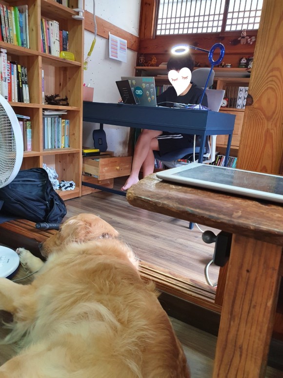 영재고선행학습 3