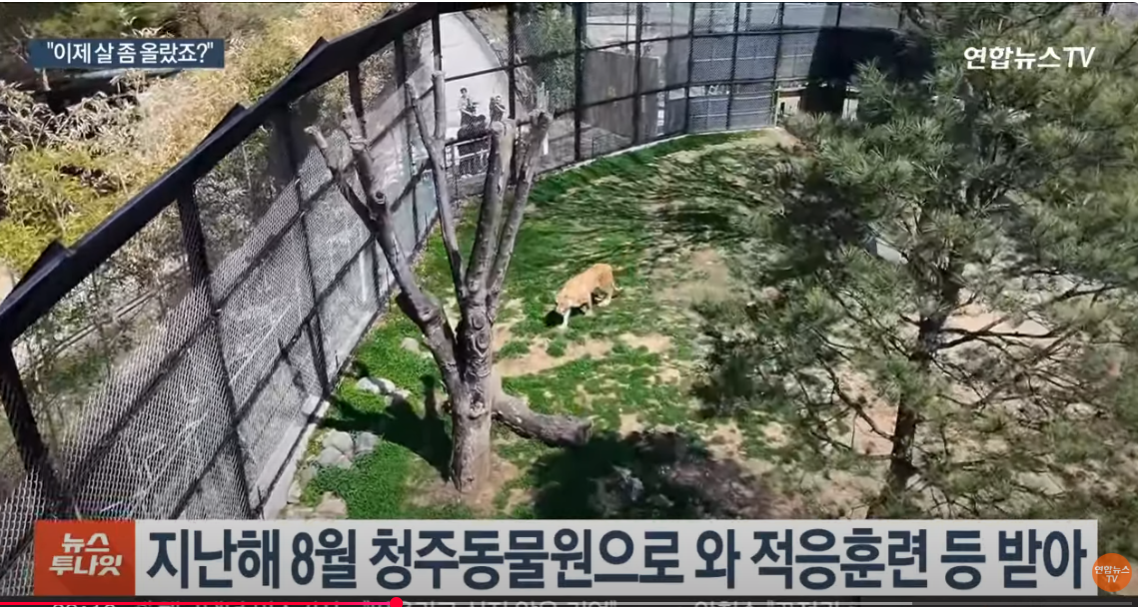 환경적응