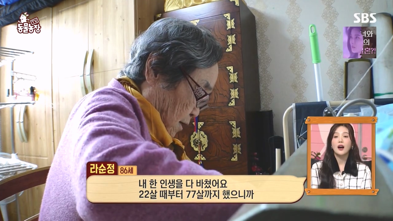 TV 동물농장.E1145.231113p-NEXT.mp4_20231112_172255.647.jpg