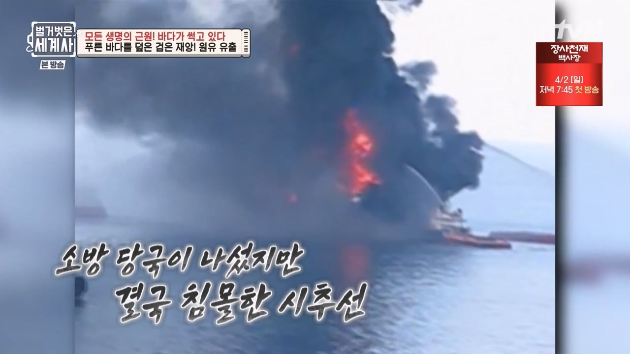 벌거벗은 세계사.E90.230315p-NEXT.mp4_20230419_212600.815.jpg