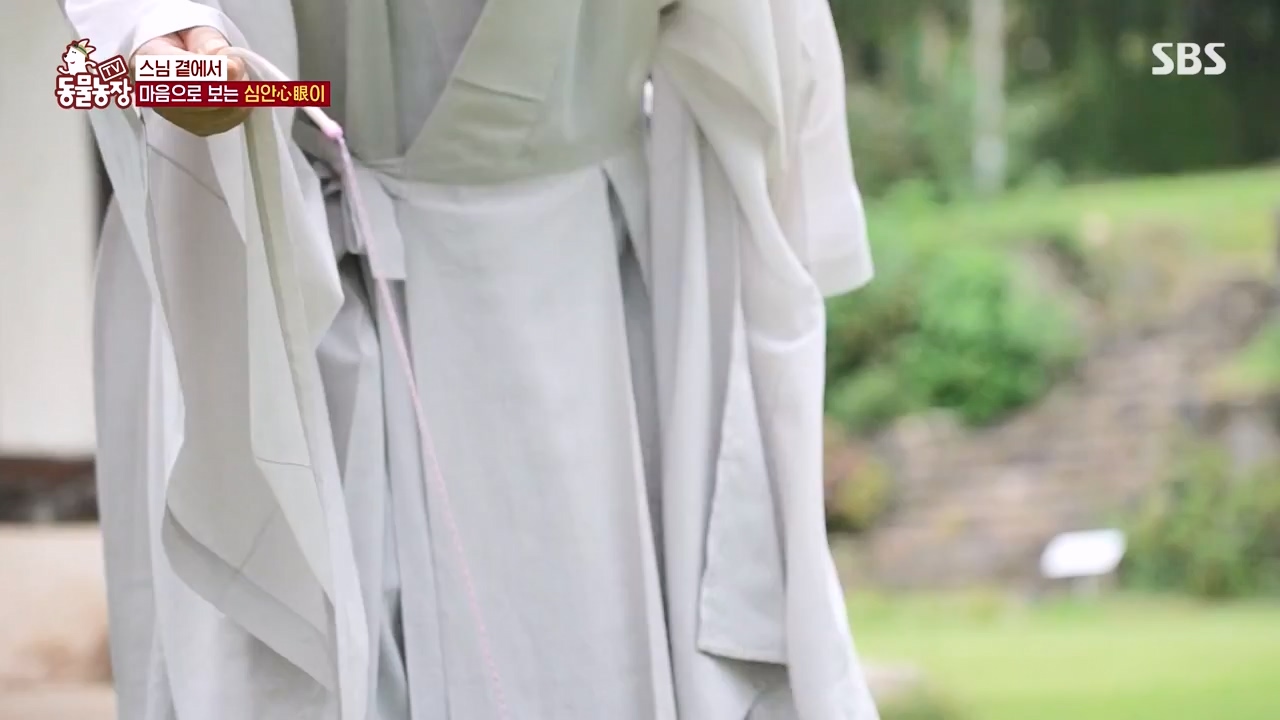 TV 동물농장.E1143.231030p-NEXT.mp4_20231029_164051.762.jpg