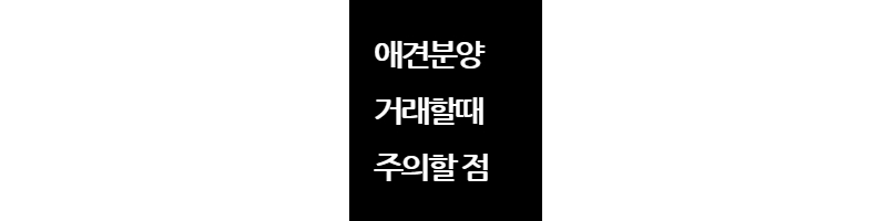 애견분양거래