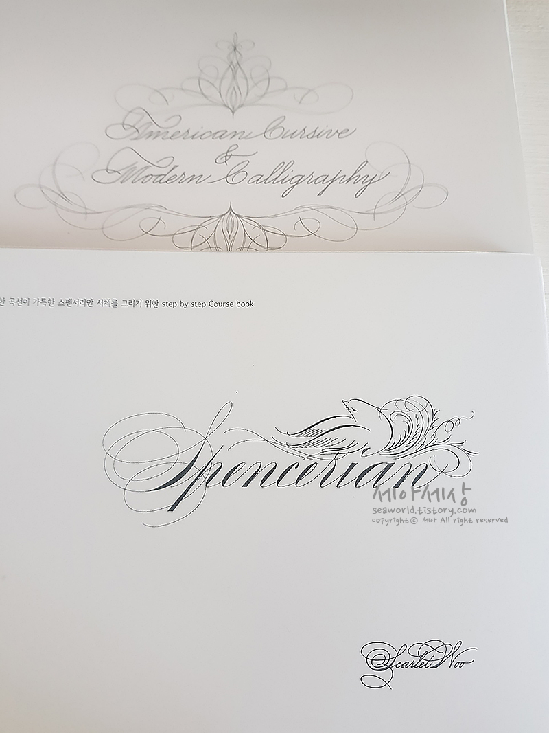 스칼렛캘리그라피 이미지