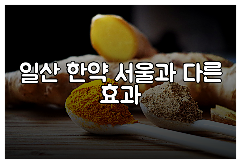 일산 한약 서울과 다른 효과