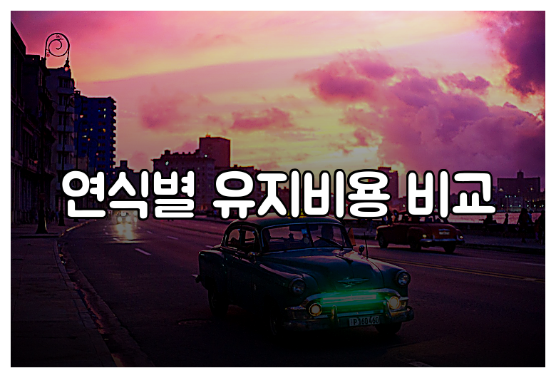 연식별 유지비용 비교